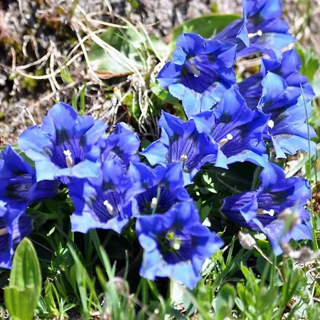 La Grange Pralognan-la-Vanoise
